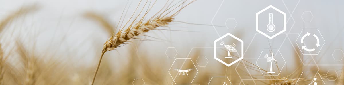 نرم افزار جامع همراه کشاورز